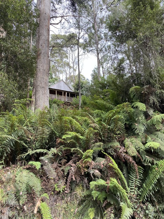 Außenansicht Lemonthyme Wilderness Retreat