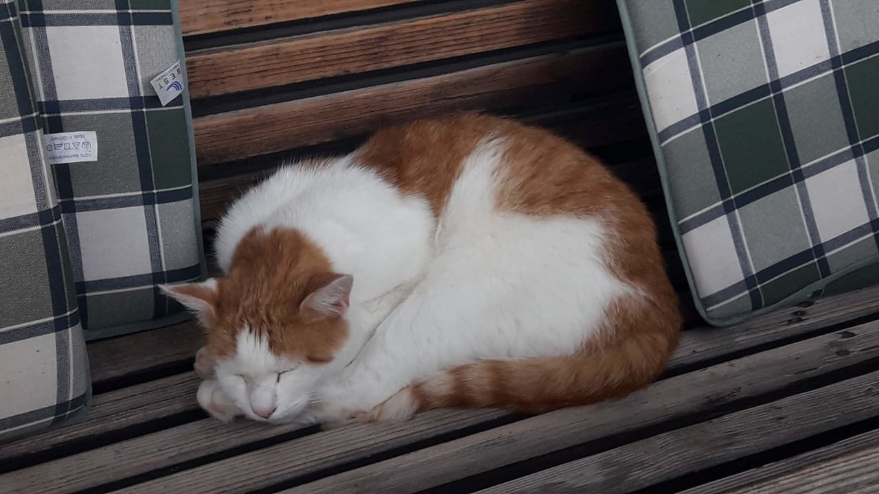 Sonstiges Ferienwohnungen Ertlhof