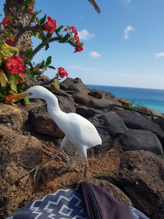 Außenansicht Aldiana Club Fuerteventura