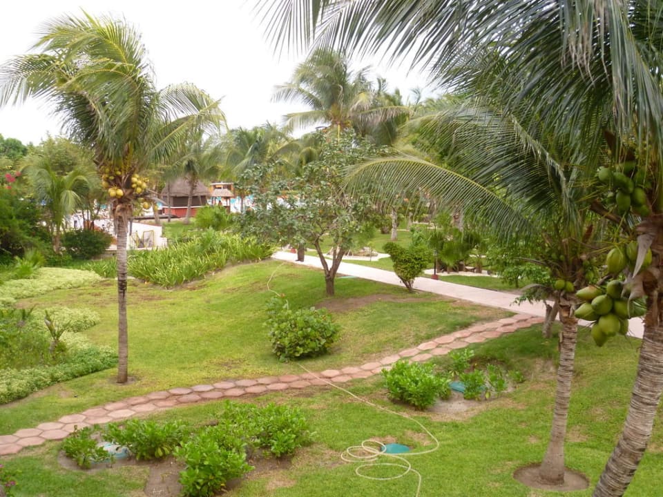 Ausblick in die Gartenanlage aus dem Zimmer Catalonia Playa Maroma