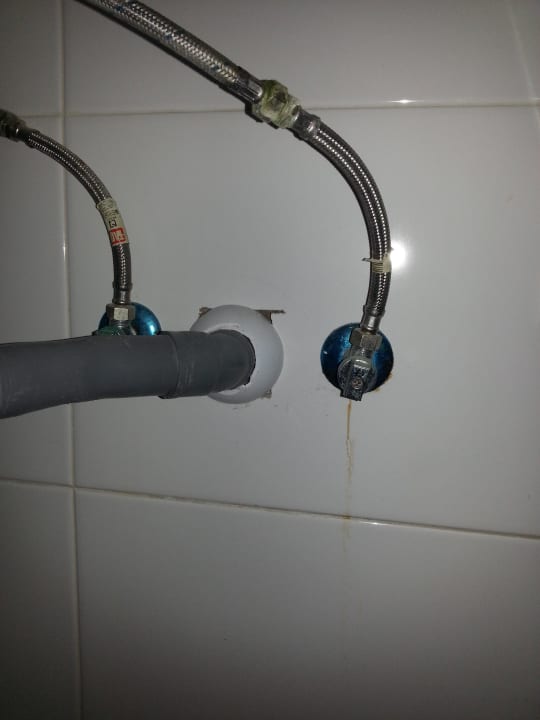 Waschbecher Bull Costa Canaria & Spa - Adults only