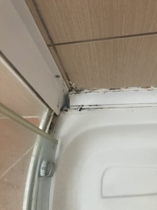 Zimmer Cinar Family Suite Hotel