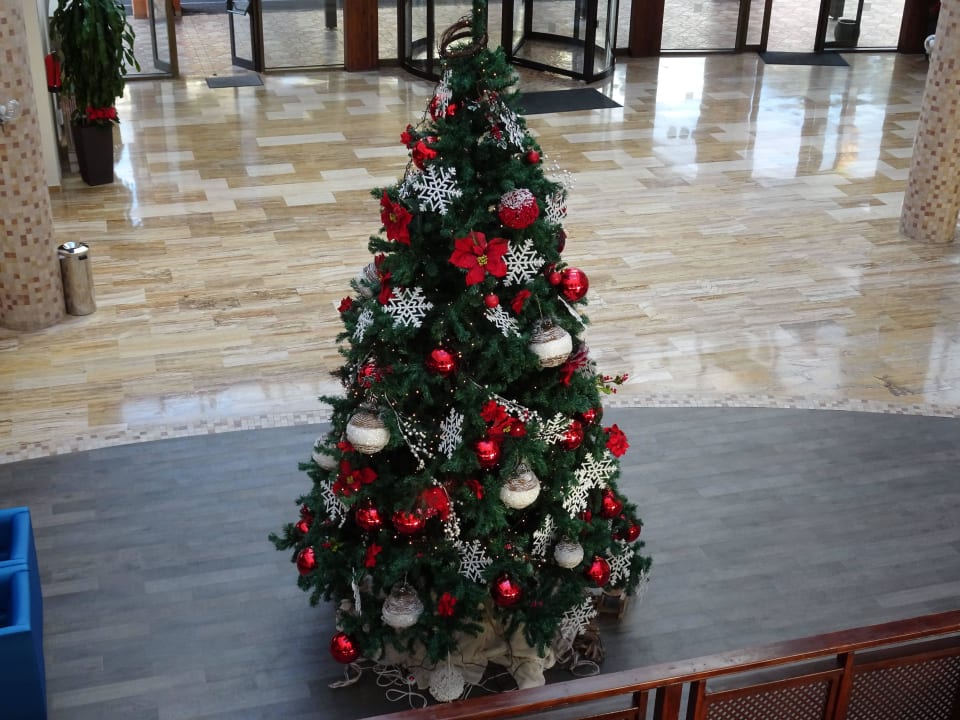 Weihnachten Occidental Jandía Royal Level - Adults only