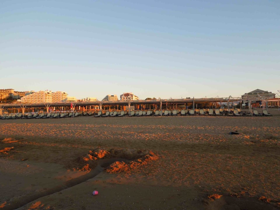 Strand am Morgen Hotel Novum Garden Side