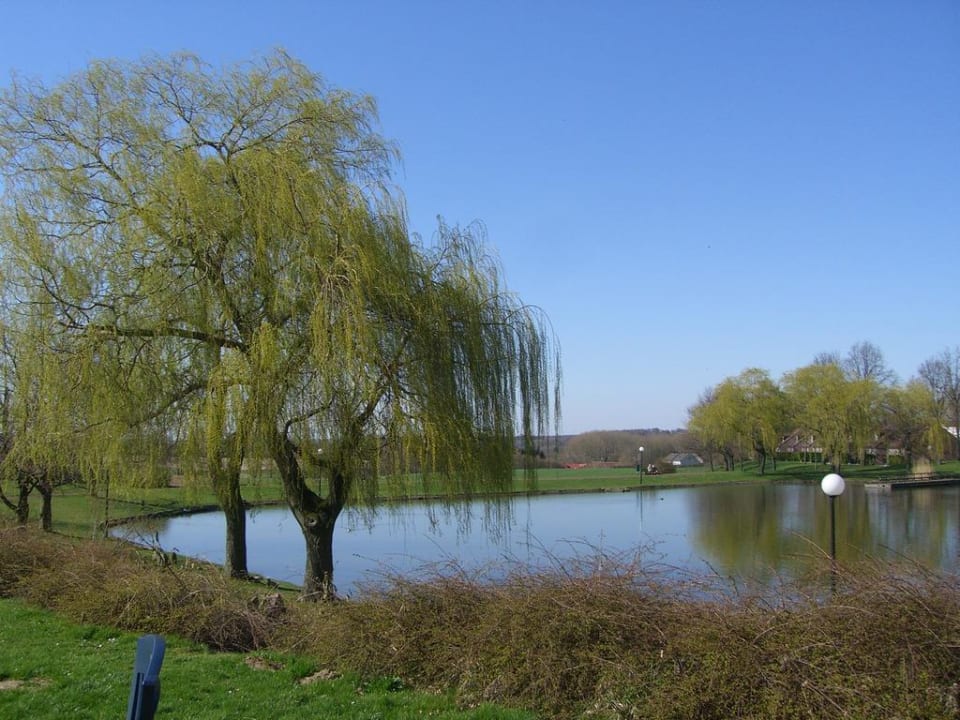 Blick auf den See Ferienpark Landal Hoog Vaals
