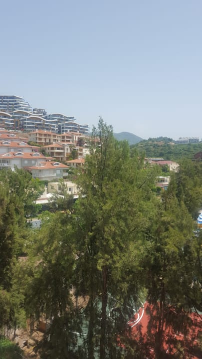 Ausblick Dizalya Palm Garden