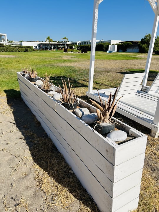 Strand Asterias Beach Resort