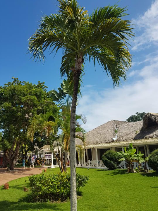 Außenansicht Marien Puerto Plata