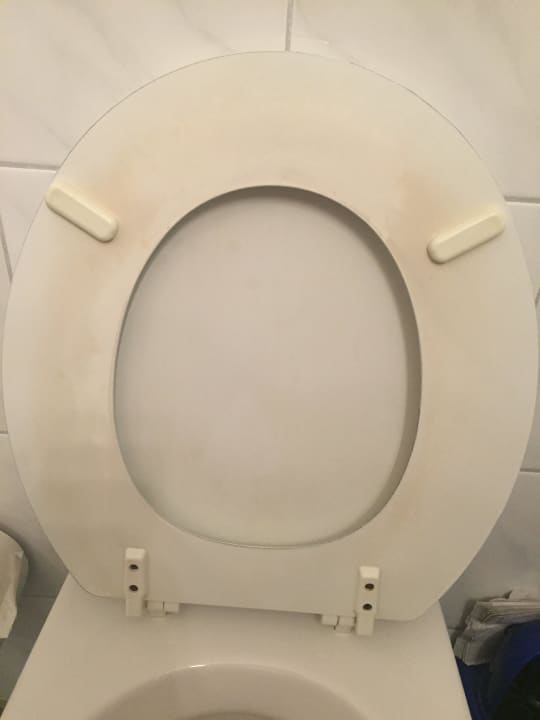 Toilette im Zimmer Hotel am Park