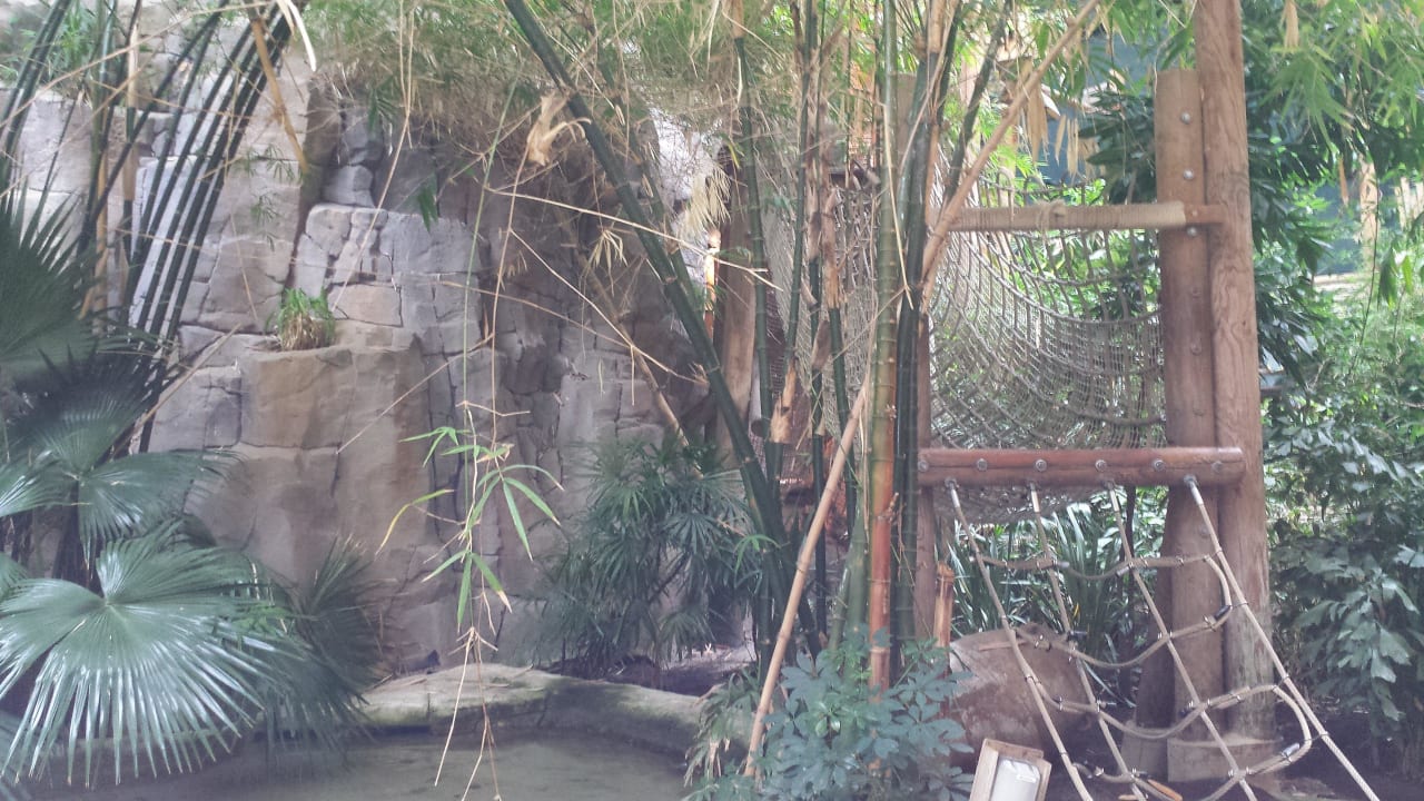 Discovery Center Parcs De Vossemeren