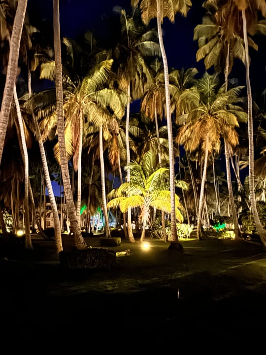 Gartenanlage Vista Sol Punta Cana