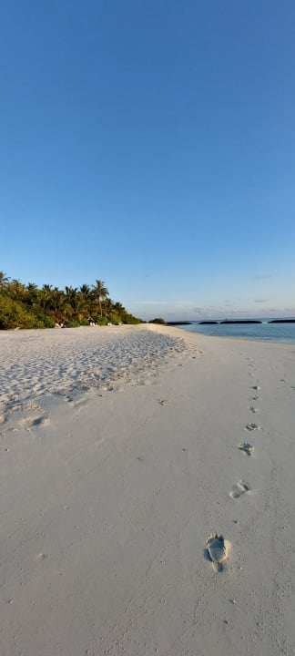 Strand Summer Island Maldives
