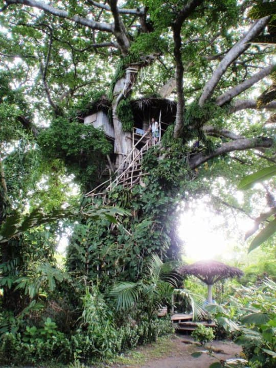 Baumhaus Shark-Bay Bungalows
