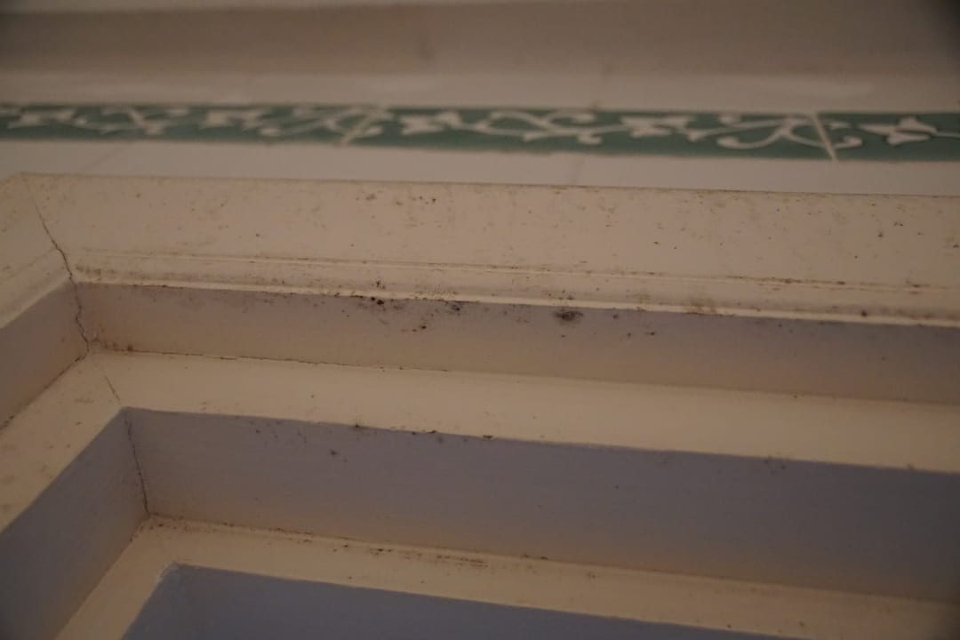 Zimmer Hotel Nesrine