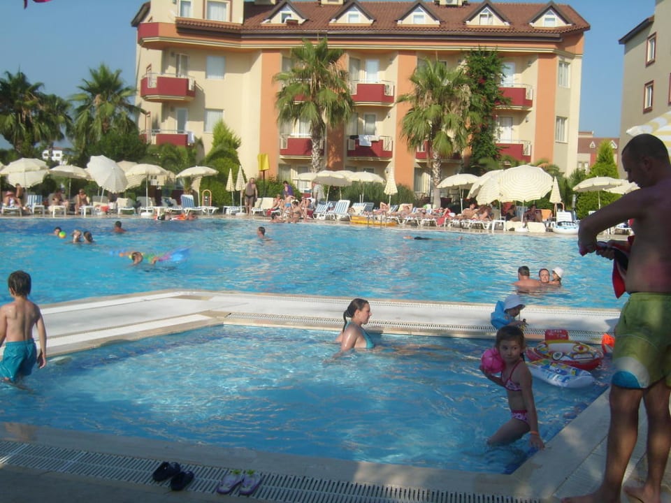 Pool Hotel Orfeus Park