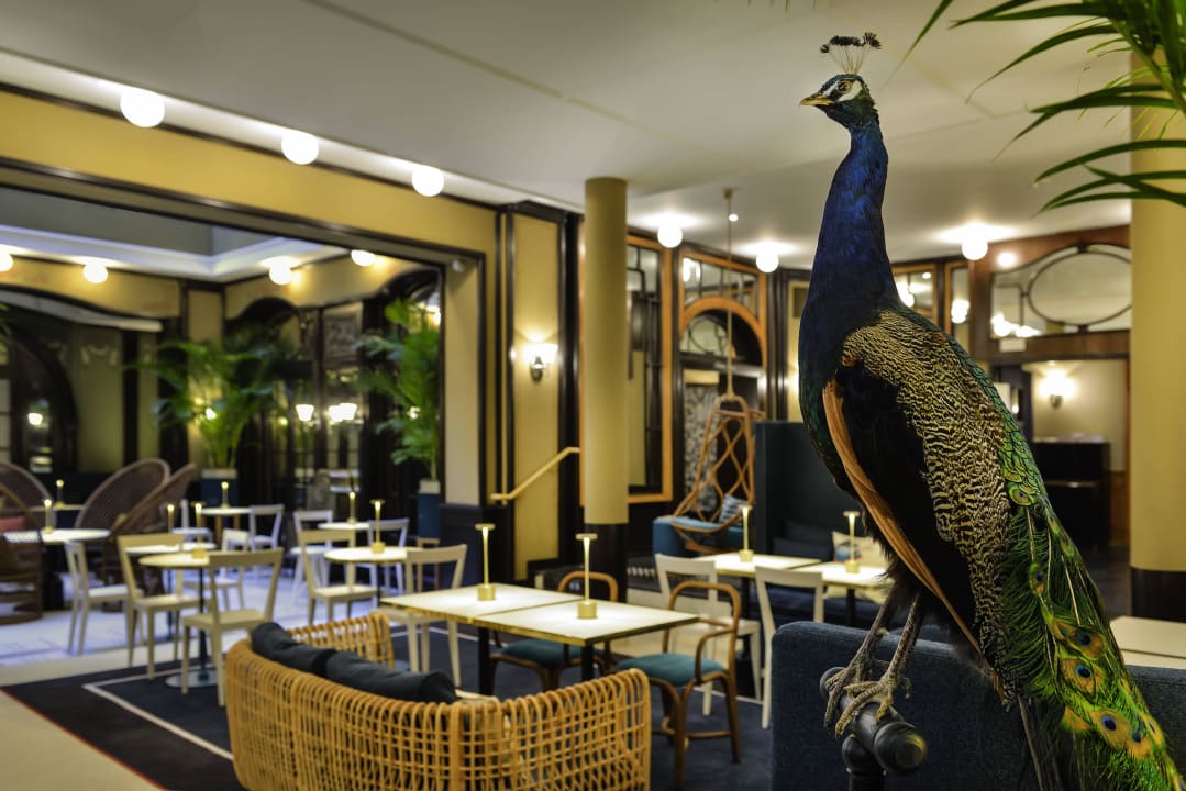 Lougne Bar "Le 38" Hotel L'Echiquier Opéra Paris – MGallery Collection by Sofitel