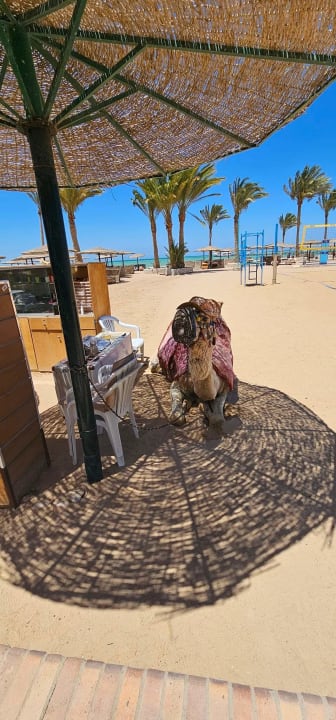 Strand Golden Beach Resort