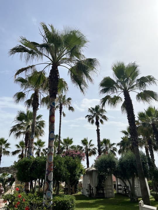 Gartenanlage Hotel Defne Garden