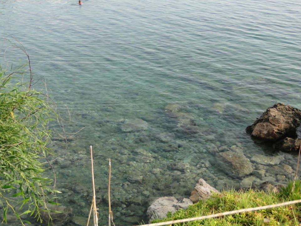 Crystal Springs Beach Hotel Crystal Springs Beach Hotel