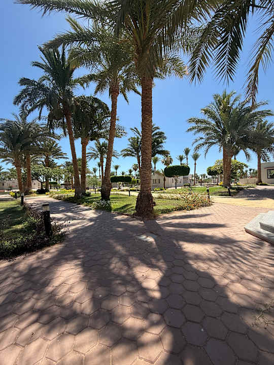 Außenansicht Pharaoh Azur Resort