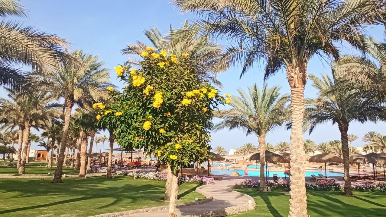 Gartenanlage Three Corners Sea Beach Resort