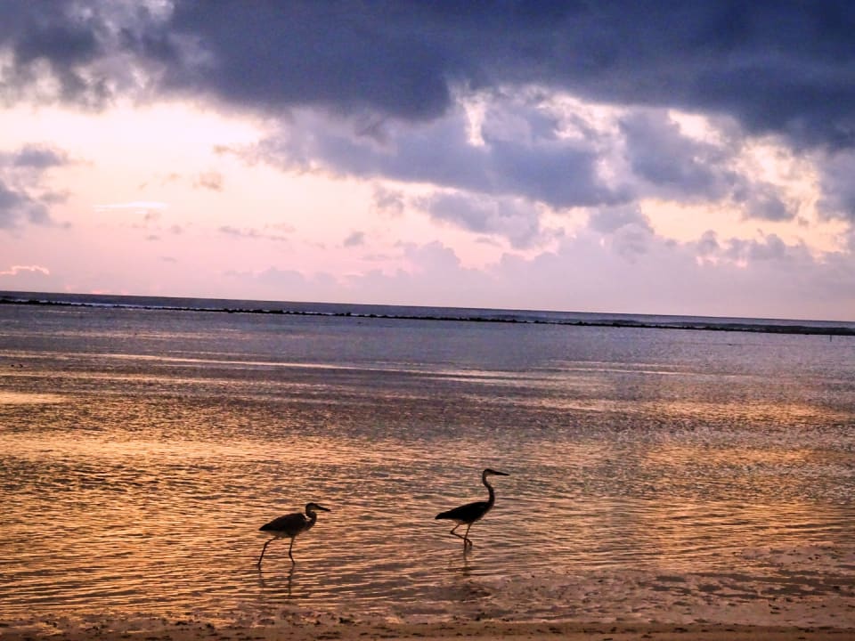 Strand Adaaran Select Hudhuran Fushi - Premium All Inclusive