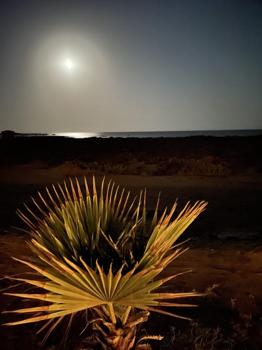 Ausblick Lahami Bay Beach Resort