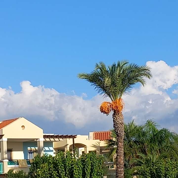 Gartenanlage Lindos Princess Beach Resort & Spa