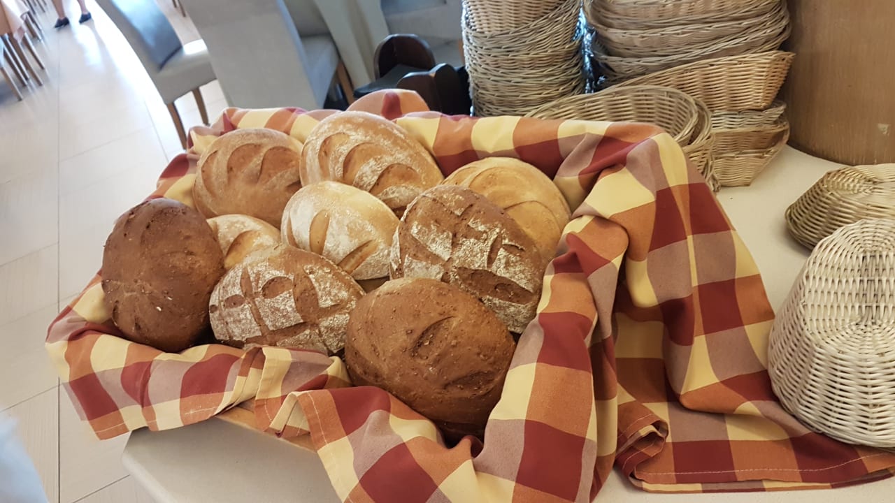 Gastro alltoura Club Hotel Poseidon Palace