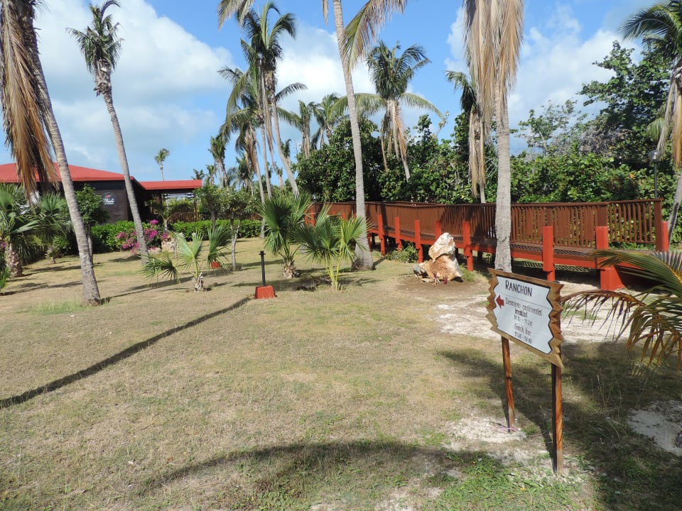 Gartenanlage Sol Hicacos Varadero