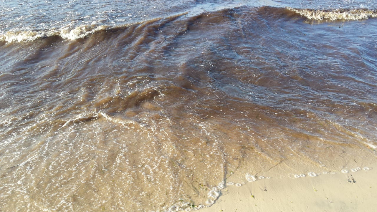 Seegras Hotel Neptunia Skanes