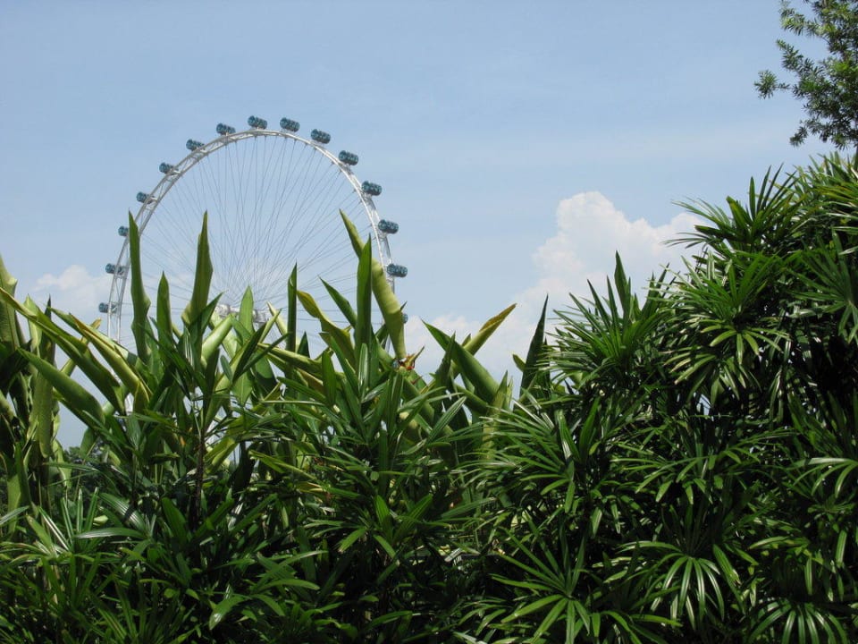 Blick vom Garten zum Flyer Hotel Mandarin Oriental Singapore