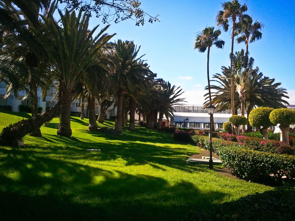 Gartenanlage des Hotels Hotel Riu Paraiso Lanzarote
