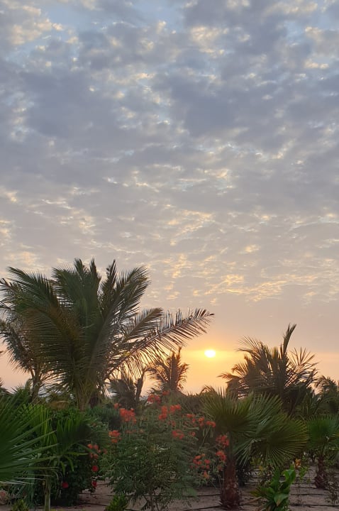 Ausblick Hotel Riu Baobab - All Inclusive