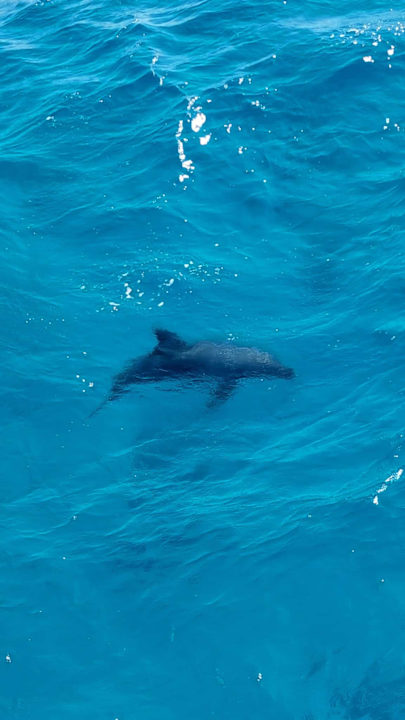 Strand Cleopatra Luxury Resort Makadi Bay