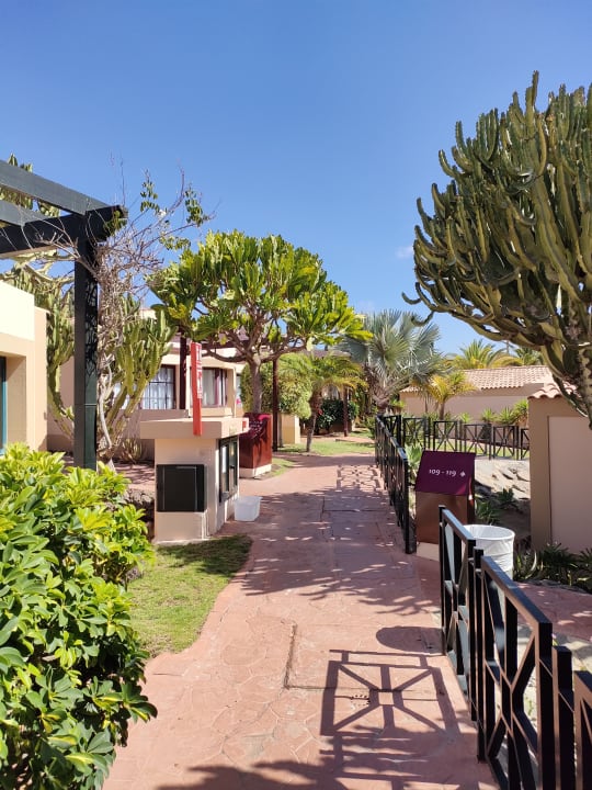 Gartenanlage allsun Hotel Esplendido