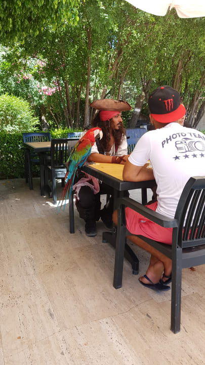 Sport & Freizeit Asteria Collection Side