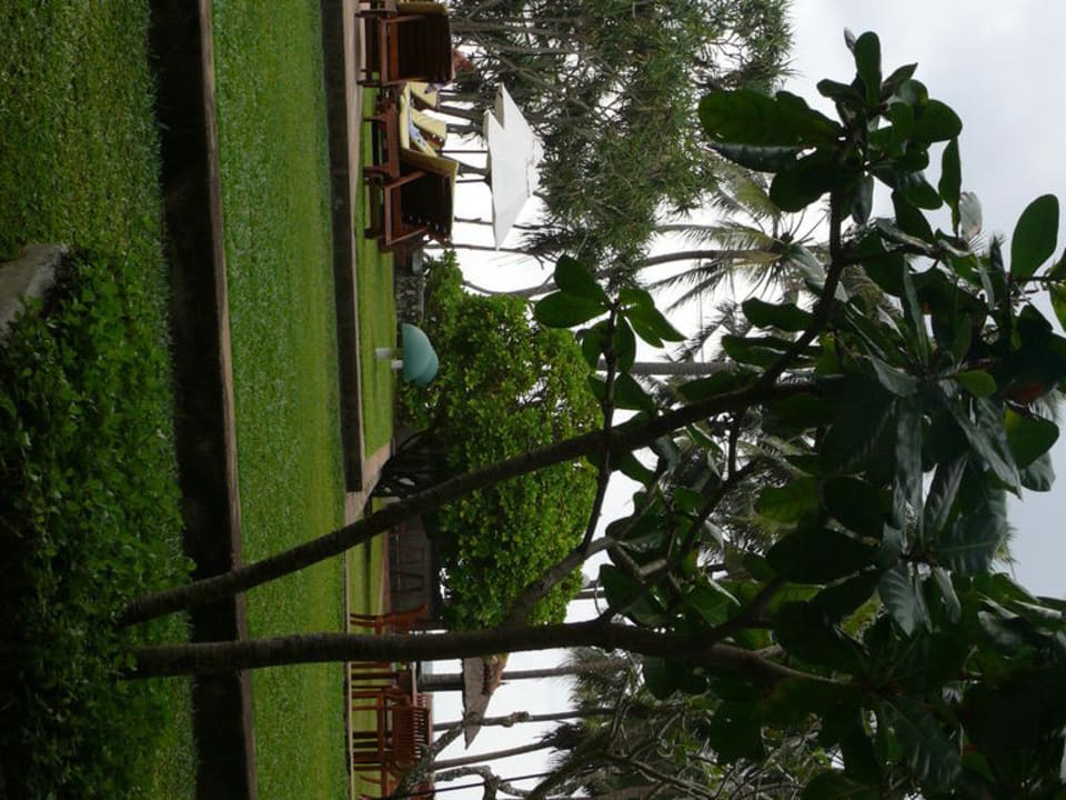 Garten Thaala Bentota