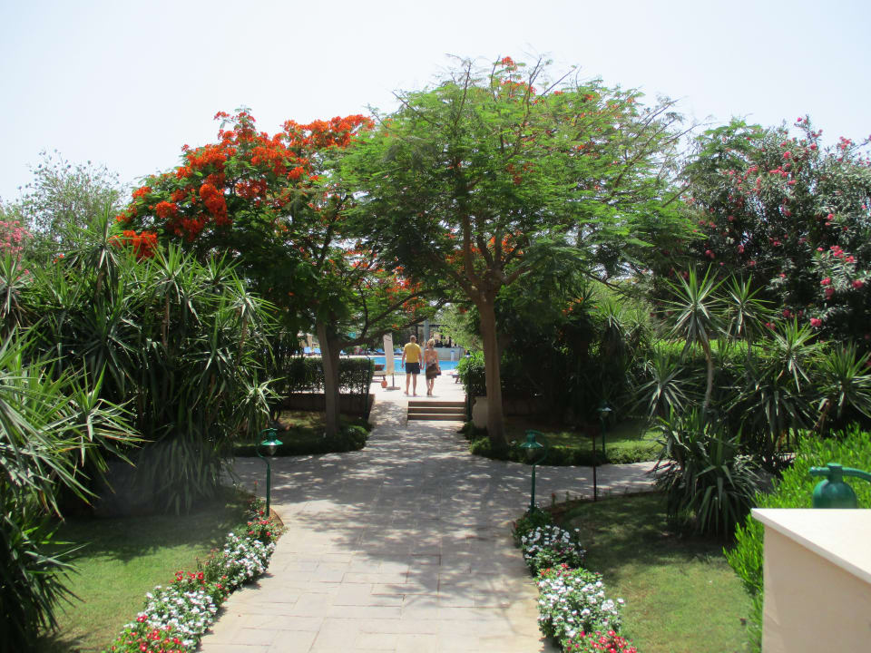 Außenansicht Miramar Al Aqah Beach Resort