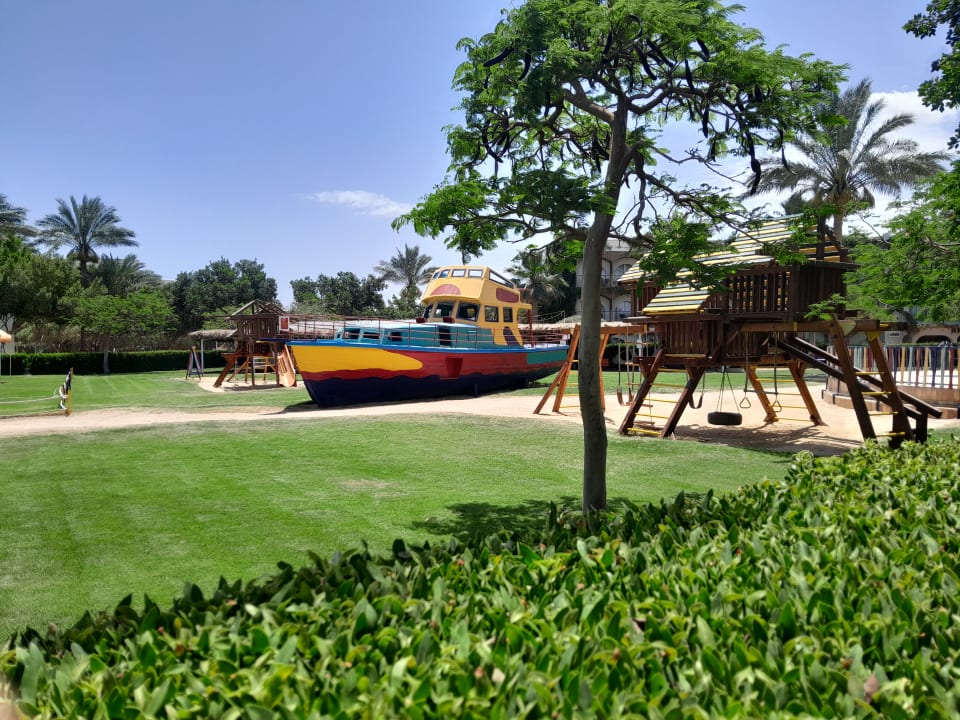 Gartenanlage Desert Rose