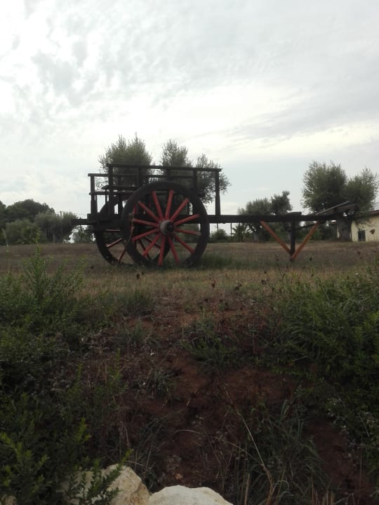 Gartenanlage Agriturismo Ninea