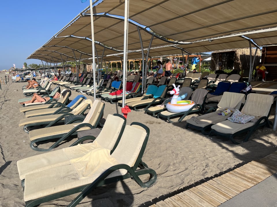 Strand Crystal Family Comfort Collection