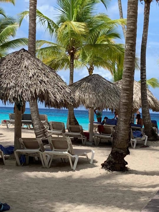 Strand Catalonia Royal La Romana - Adults only