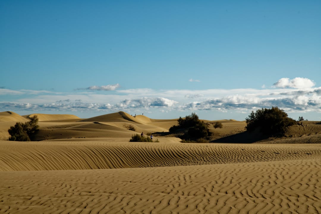 Ausblick Hotel Riu Palace Maspalomas Adults Only