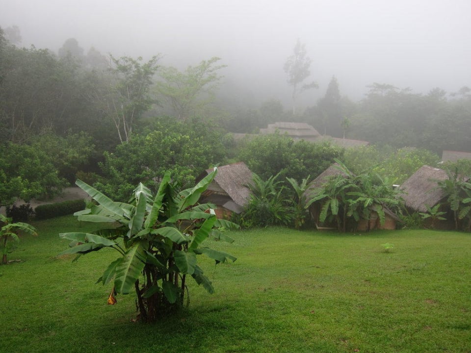 Garten im morgendlichen Nebel Hotel The Cliff & River Jungle Resort