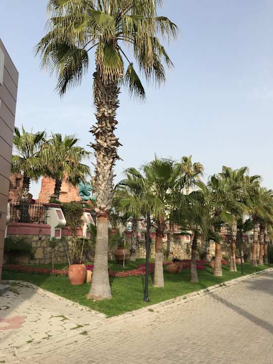 Gartenanlage Kamelya Collection Selin Hotel