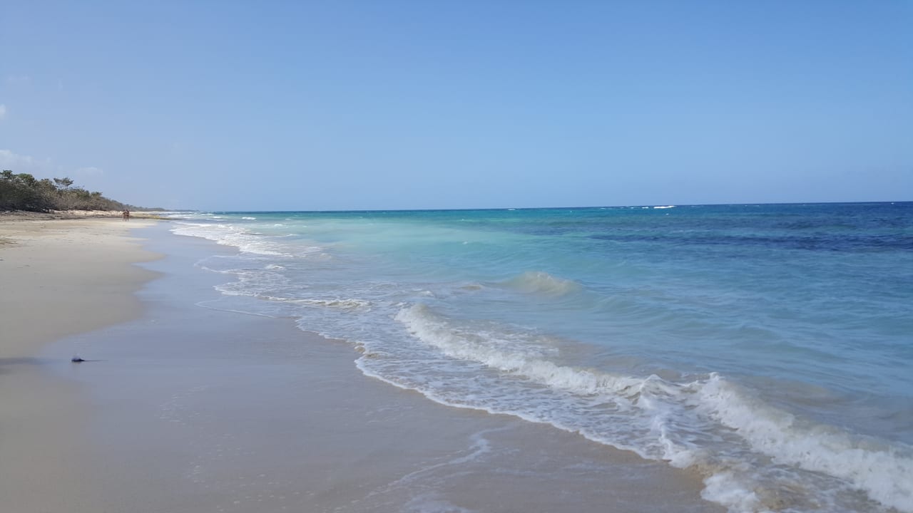 Strand Starfish Jibacoa