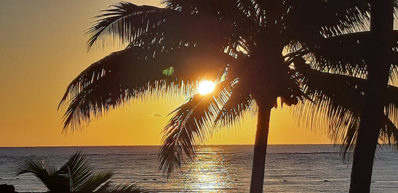 Ausblick Akumal Bay Beach & Wellness Resort