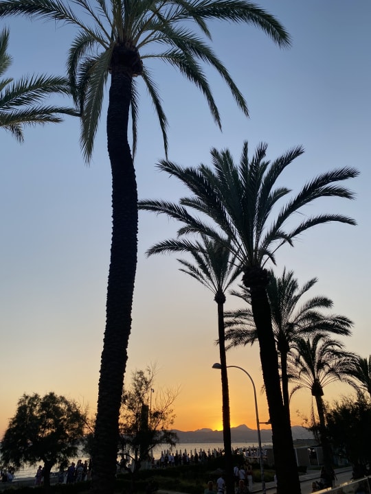 Pool Myseahouse Flamingo - Adults only