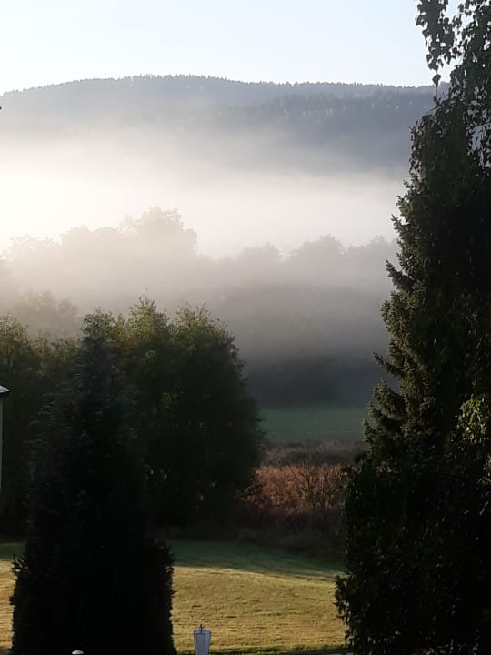 Ausblick Der Wolfshof